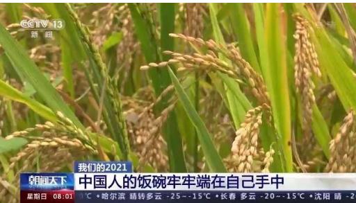 穩農業基本盤 做好住三農工作；從中央農村工作會議看2022年“三農”的重點任務都有哪些！
